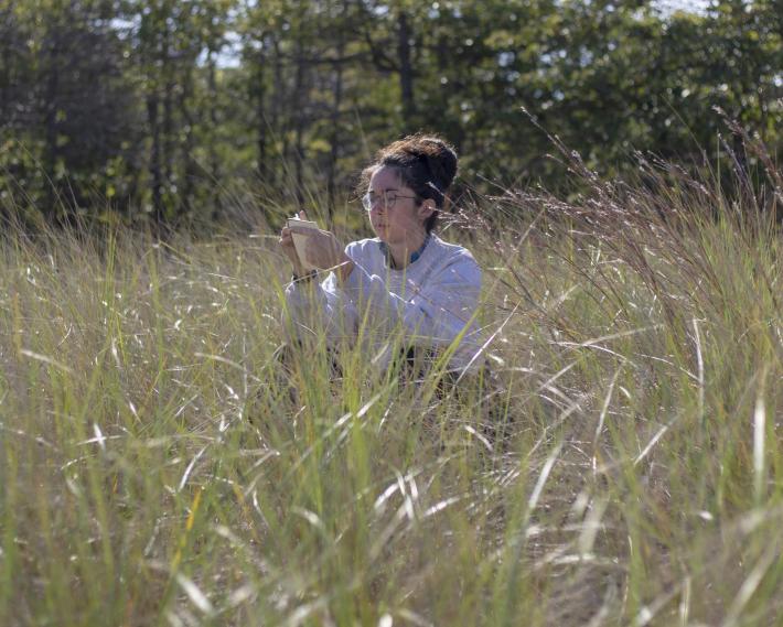 A student examines flora in Saugatuck Dunes State Park 