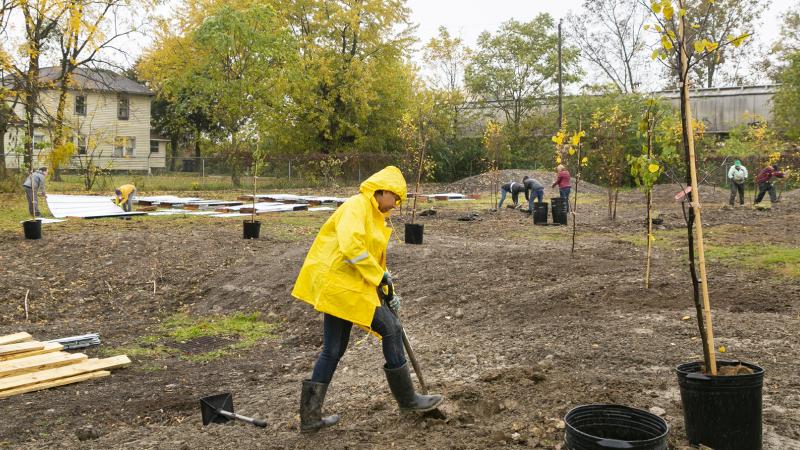 Knowlton faculty and students plants trees in South Jackson Community Garden