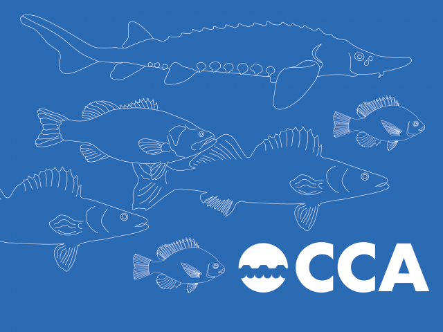 CCA graphic with fish and logo