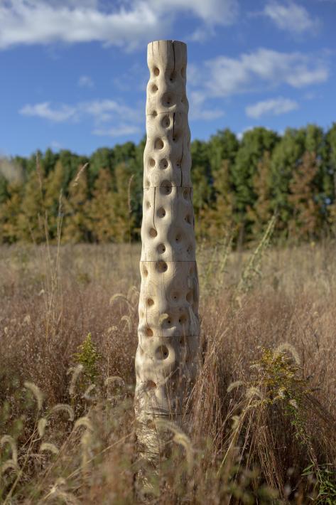 Pollinator Column, a sculpture by Parker Sutton in the environment from whence it's material came