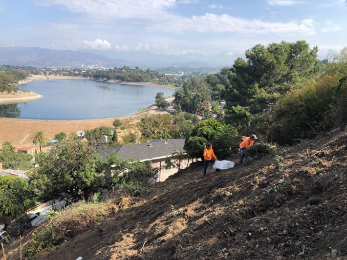 Barranca Landscape crew members ascend a steep hill overlooking the Silver Lake Reservoir in Los Angeles to prepare the land for native plants. (Courtesy Terremoto)